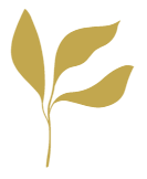 Projektowanie