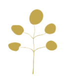 Pielęgnacja