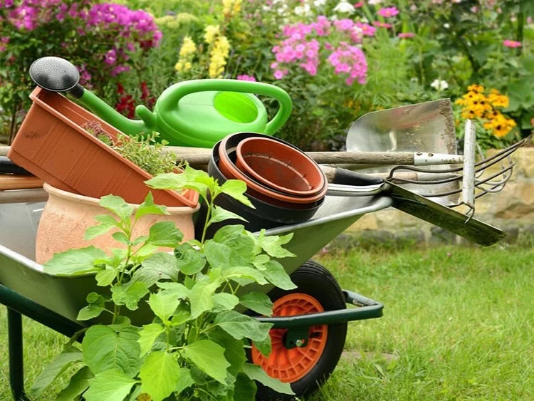 Projektowanie ogrodów Swarzędz