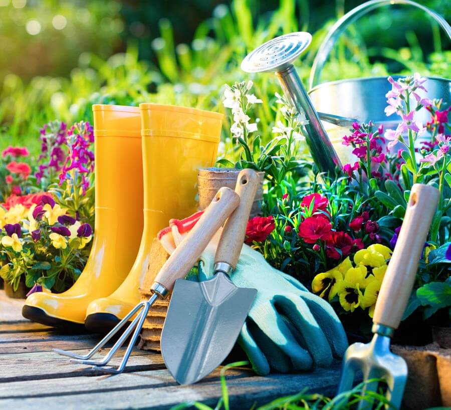 Zakładanie ogrodów Bydgoszcz